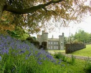More Details about Shire Castle